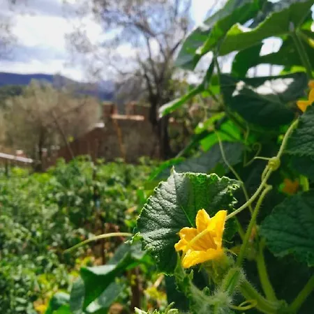 Restaurant Emblema 3*